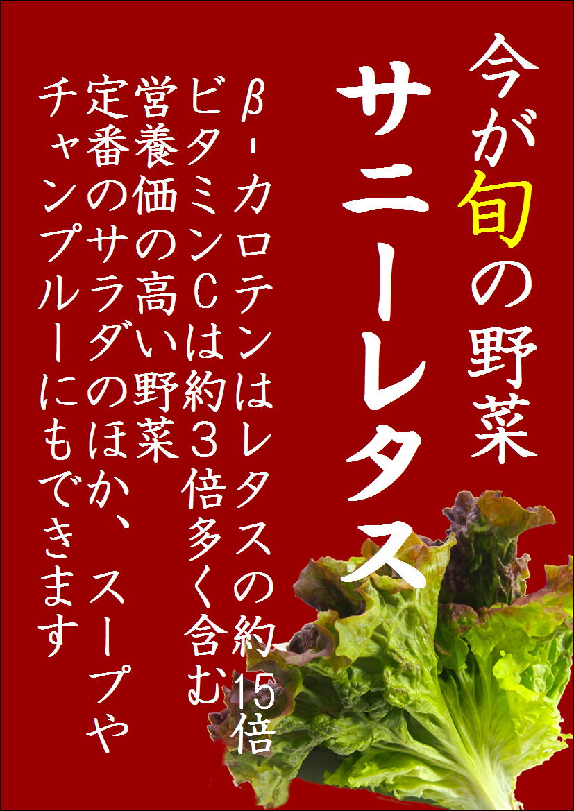 旬の野菜　「サニーレタス」