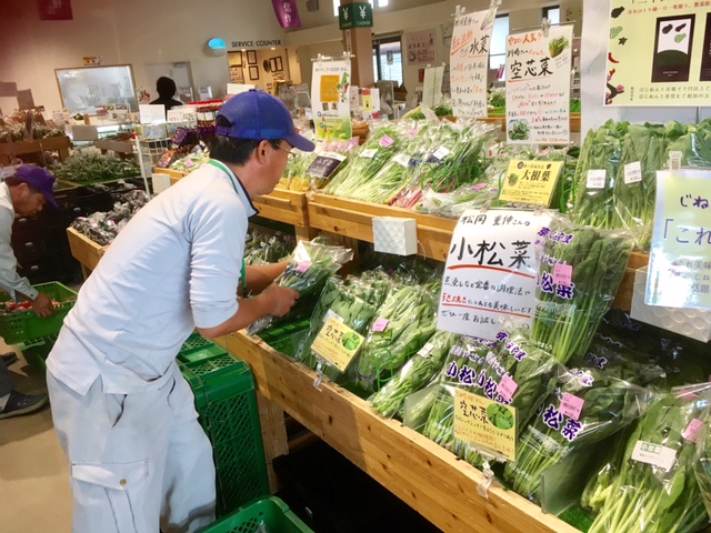 松岡重伸さんから葉物野菜届きました!!