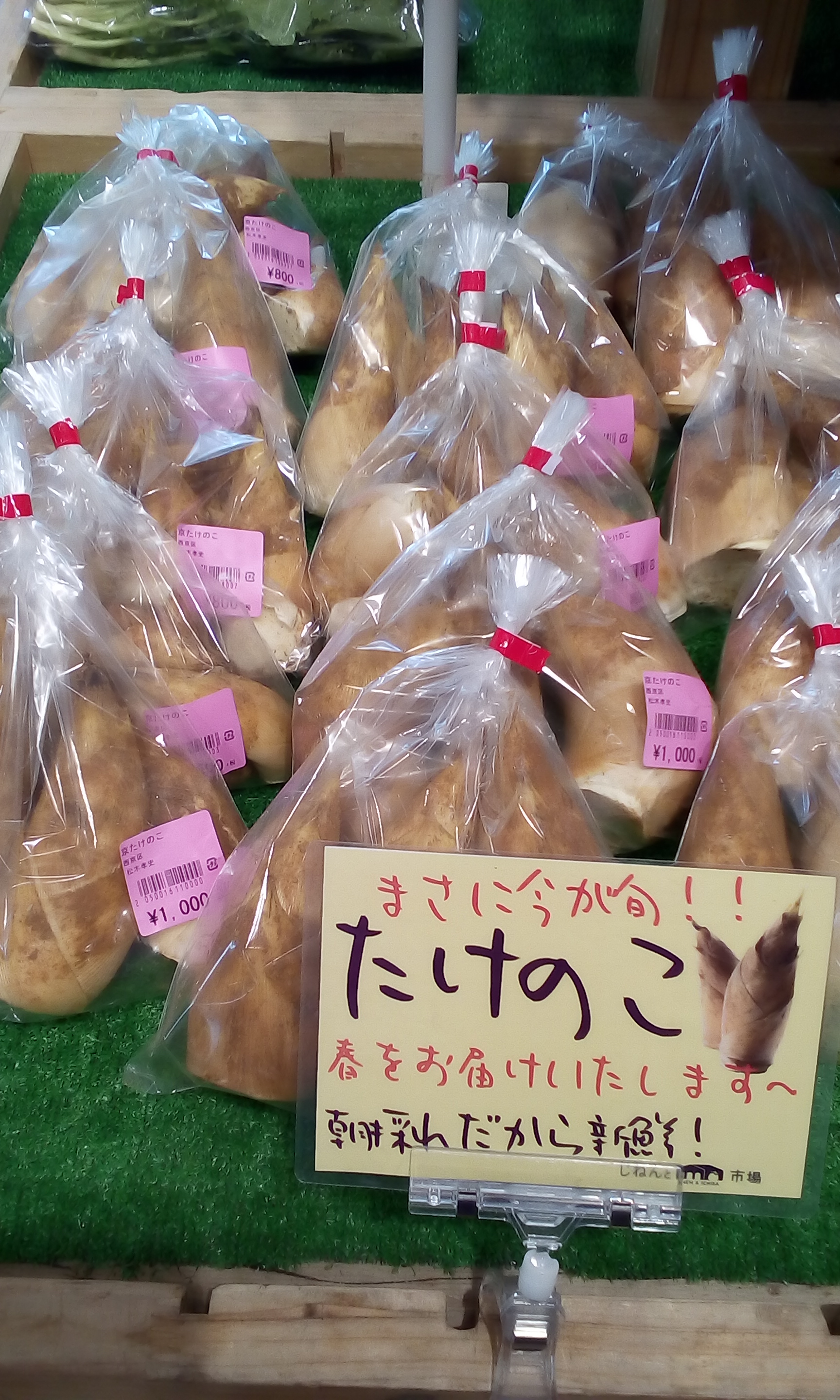 春はもうそこまで!!　筍が入荷しました!!