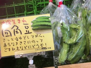 京都産　四角豆