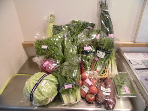 ３月１５日旬の京やさいギフトセット