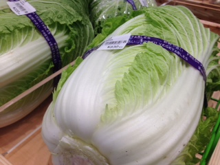 白菜（増田さん）