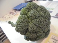 巨大ブロッコリー