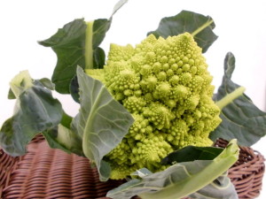 009　ブロッコリー　珍しい