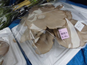 京都産ヒラタケ