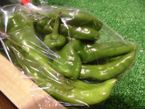 渋谷農園　万願寺唐辛子